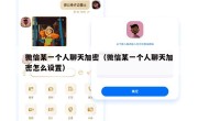 微信某一个人聊天加密（微信某一个人聊天加密怎么设置）