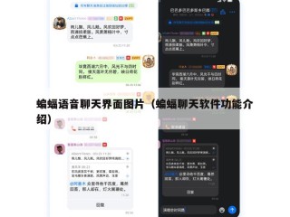 蝙蝠语音聊天界面图片（蝙蝠聊天软件功能介绍）