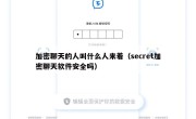 加密聊天的人叫什么人来着（secret加密聊天软件安全吗）