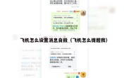 飞机怎么设置消息自毁（飞机怎么提醒我）