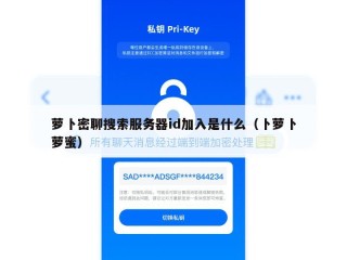 萝卜密聊搜索服务器id加入是什么（卜萝卜萝蜜）