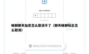 畅聊聊天加密怎么取消不了（聊天畅聊标志怎么取消）