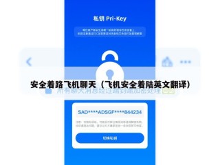 安全着路飞机聊天（飞机安全着陆英文翻译）