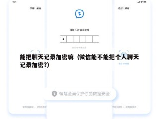 能把聊天记录加密嘛（微信能不能把个人聊天记录加密?）