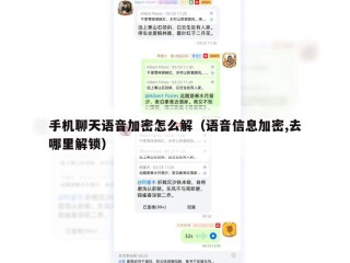 手机聊天语音加密怎么解（语音信息加密,去哪里解锁）