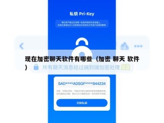 现在加密聊天软件有哪些（加密 聊天 软件）