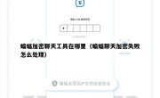 蝙蝠加密聊天工具在哪里（蝙蝠聊天加密失败怎么处理）