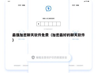 最强加密聊天软件免费（加密最好的聊天软件）