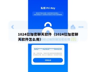 1024位加密聊天软件（1024位加密聊天软件怎么用）