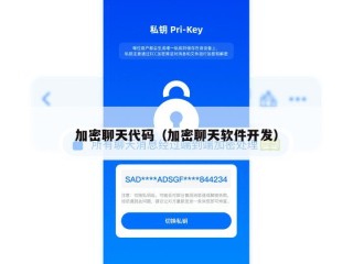 加密聊天代码（加密聊天软件开发）