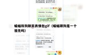蝙蝠和狗聊天表情包gif（蝙蝠跟狗是一个祖先吗）