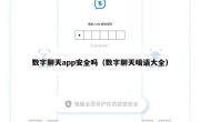 数字聊天app安全吗（数字聊天暗语大全）