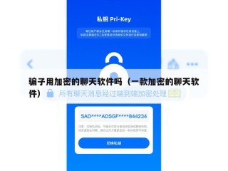 骗子用加密的聊天软件吗（一款加密的聊天软件）