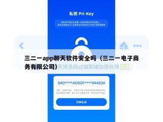 三二一app聊天软件安全吗（三二一电子商务有限公司）