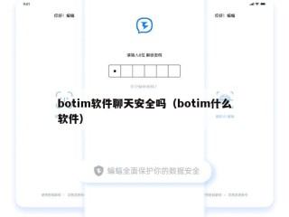 botim软件聊天安全吗（botim什么软件）