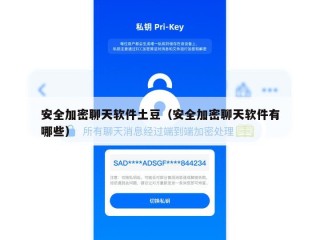 安全加密聊天软件土豆（安全加密聊天软件有哪些）