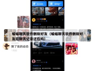 蝙蝠聊天软件删除好友（蝙蝠聊天软件删除好友后聊天记录还在吗）