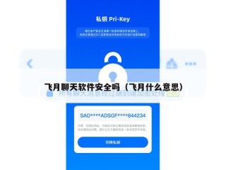 飞月聊天软件安全吗（飞月什么意思）