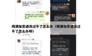 鸣潮加密通讯过不了怎么办（鸣潮加密通讯过不了怎么办呀）