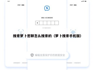 搜索萝卜密聊怎么搜索的（萝卜搜索手机版）