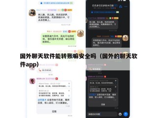国外聊天软件能转账嘛安全吗（国外的聊天软件app）