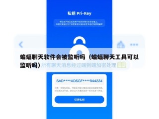 蝙蝠聊天软件会被监听吗（蝙蝠聊天工具可以监听吗）
