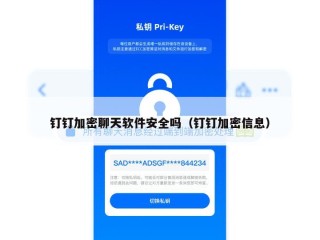 钉钉加密聊天软件安全吗（钉钉加密信息）