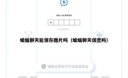 蝙蝠聊天能保存图片吗（蝙蝠聊天保密吗）