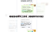 蝙蝠指啥聊天工具呀（蝙蝠聊天的功能）