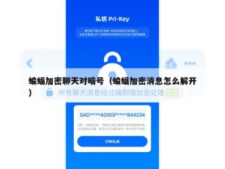 蝙蝠加密聊天对暗号（蝙蝠加密消息怎么解开）