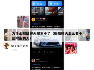 为什么蝙蝠聊天搜索不了（蝙蝠聊天怎么看不到附近的人）