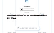 姐妹聊天软件加密怎么弄（姐妹聊天软件加密怎么弄的）