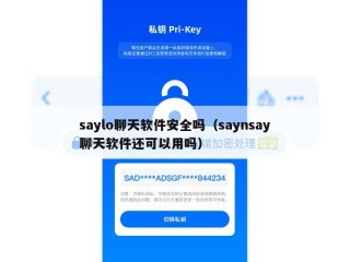 saylo聊天软件安全吗（saynsay聊天软件还可以用吗）