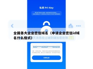 全国各大企业密信域名（申请企业密信id域名什么格式）