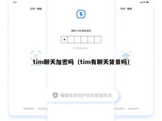 tim聊天加密吗（tim有聊天背景吗）
