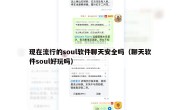 现在流行的soul软件聊天安全吗（聊天软件soul好玩吗）