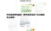 手机语音聊天加密（聊天语音加密了无法播放怎么回事）