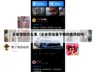 企业密信什么鬼（企业密信是干嘛的有风险吗）