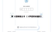 萝卜密聊倩公子（卜罗密籽的图片）