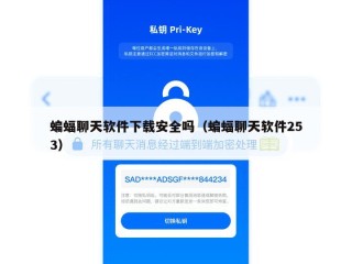 蝙蝠聊天软件下载安全吗（蝙蝠聊天软件253）