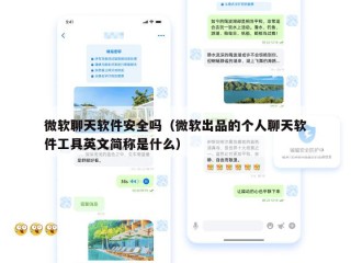 微软聊天软件安全吗（微软出品的个人聊天软件工具英文简称是什么）