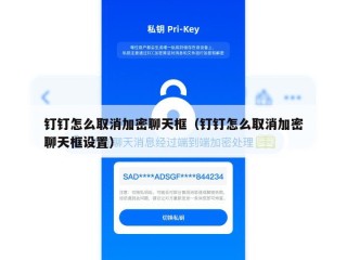 钉钉怎么取消加密聊天框（钉钉怎么取消加密聊天框设置）