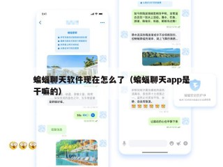 蝙蝠聊天软件现在怎么了（蝙蝠聊天app是干嘛的）