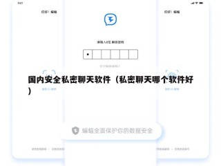 国内安全私密聊天软件（私密聊天哪个软件好）