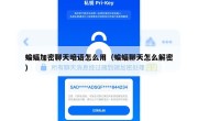 蝙蝠加密聊天暗语怎么用（蝙蝠聊天怎么解密）