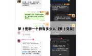 萝卜密聊一个群有多少人（萝卜交友）