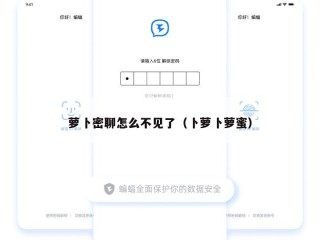 萝卜密聊怎么不见了（卜萝卜萝蜜）