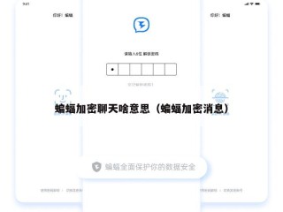 蝙蝠加密聊天啥意思（蝙蝠加密消息）