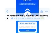 萝卜密聊怎么找进过的服务器（萝卜密怎么吃）