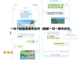 一对一的加密聊天软件（破解一对一聊天软件）